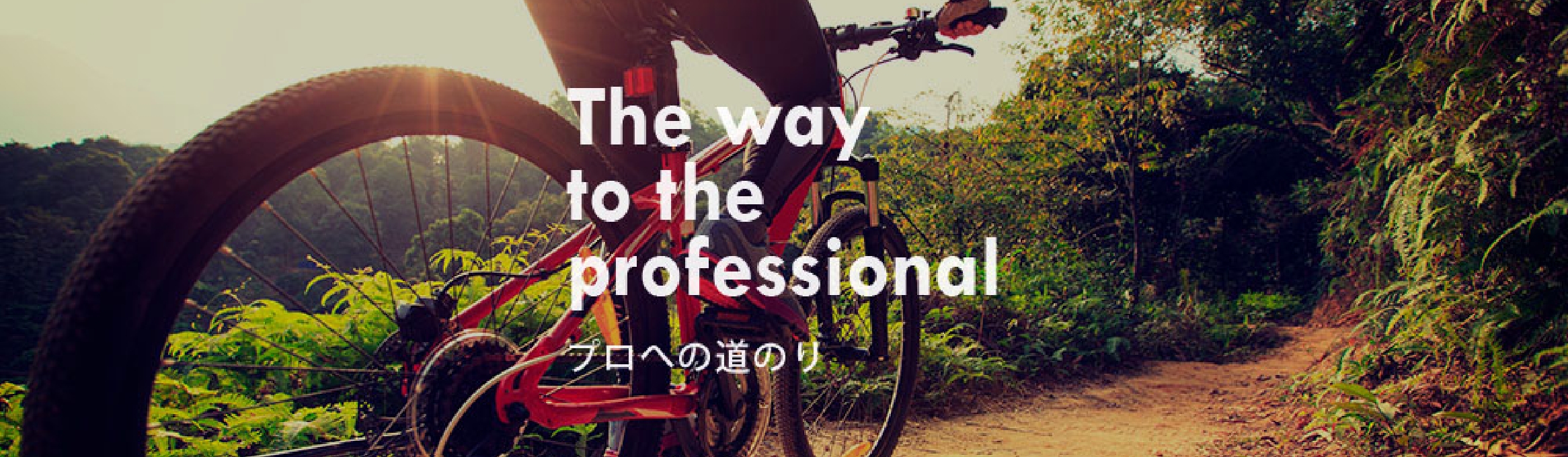 採用情報イメージ